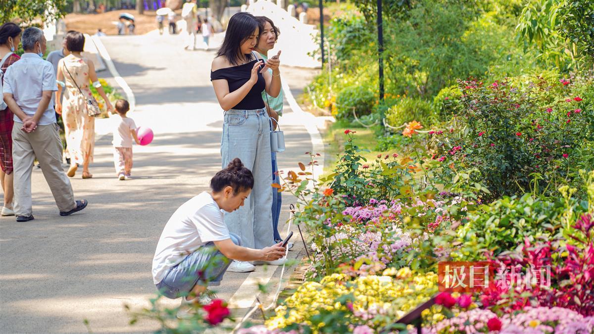 澳门威斯尼斯人50811